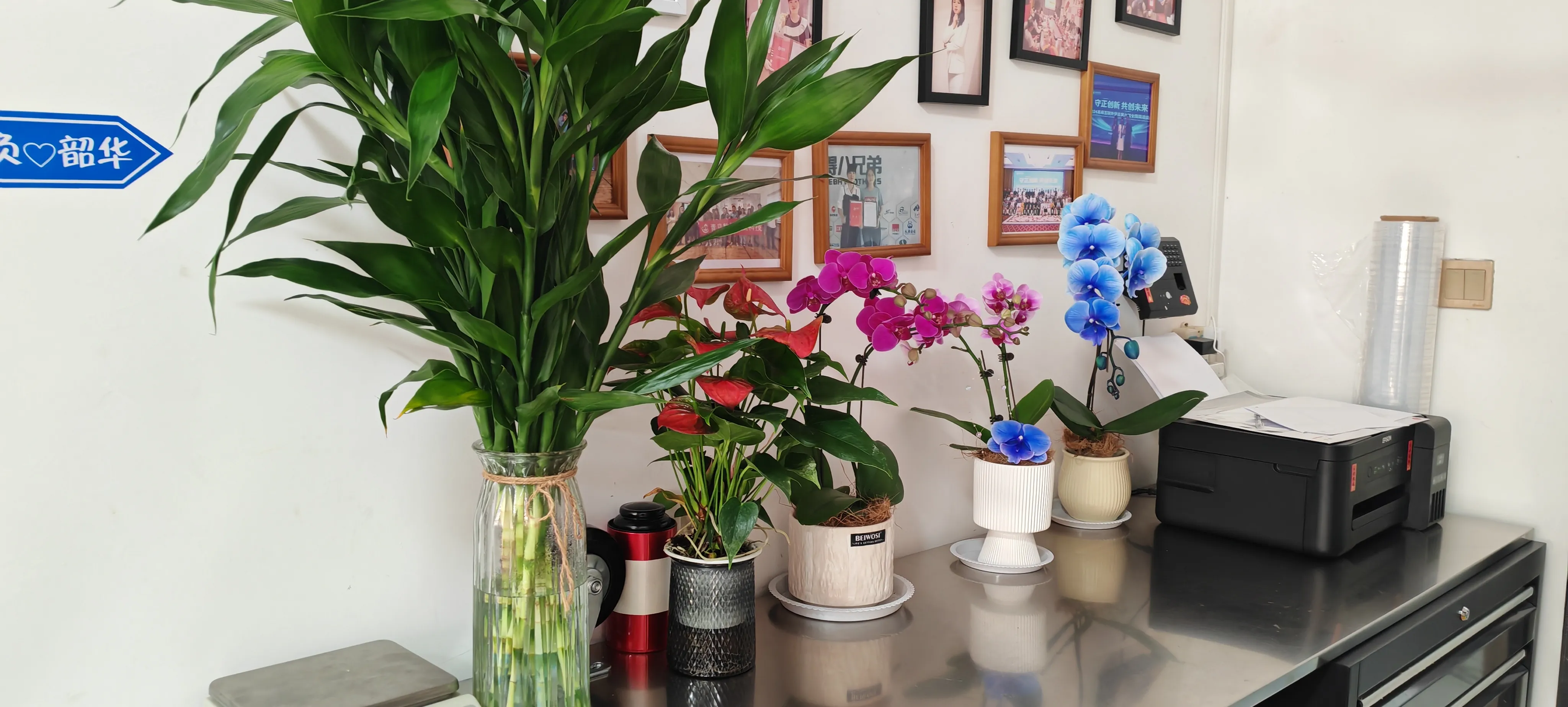 Приветствуем новых друзей JOJO Pack!